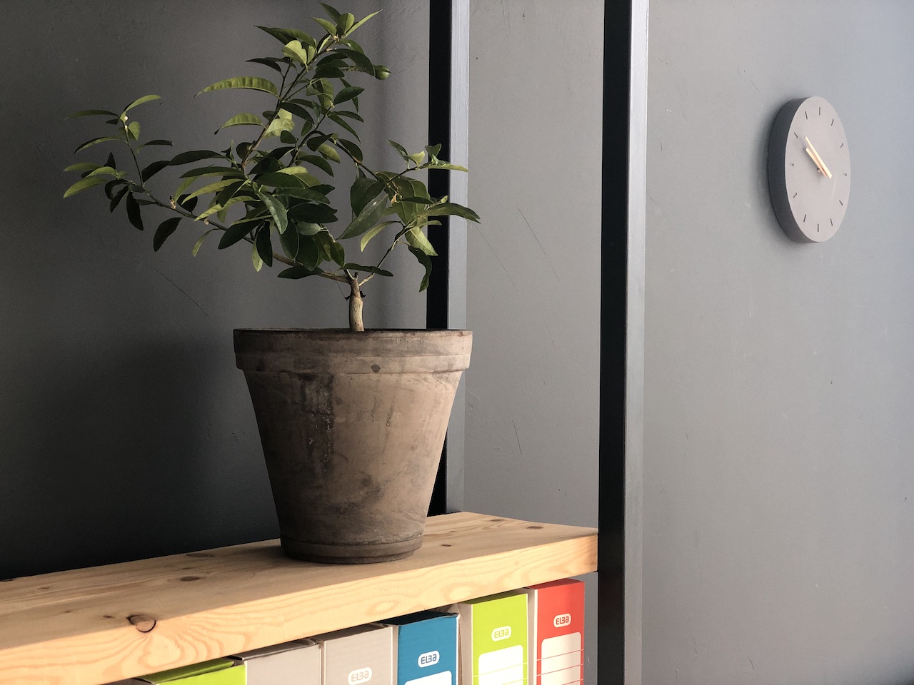 Birouri detaliu raft